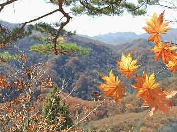 亚太精选ETF再度临时停牌，因今日二级市场交易溢价幅度未回落|界面新闻